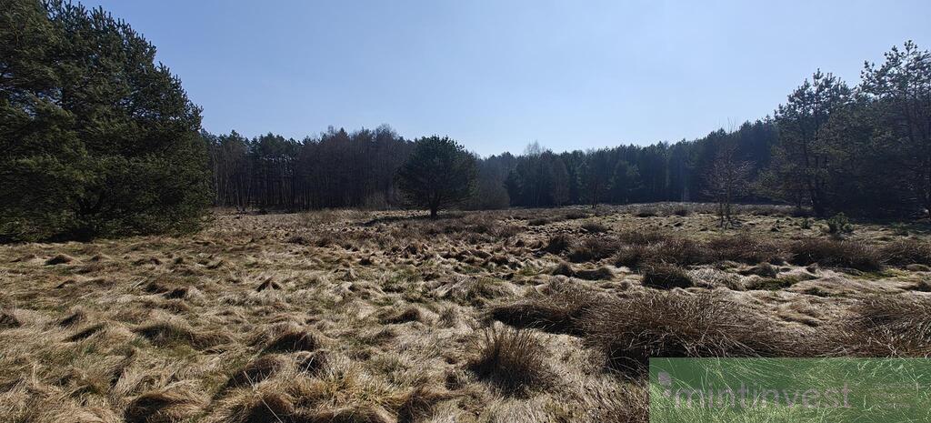 Działka z warunkami zabudowy (20)