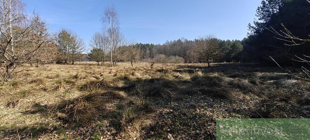 Działka z warunkami zabudowy (21)