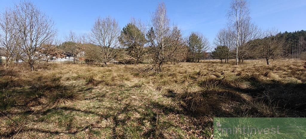 Działka z warunkami zabudowy (22)