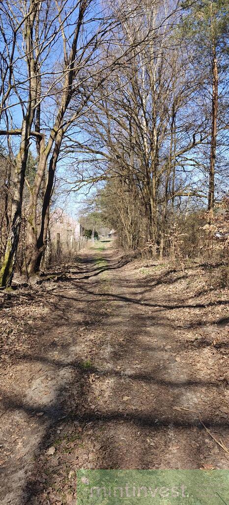 Działka z warunkami zabudowy (23)