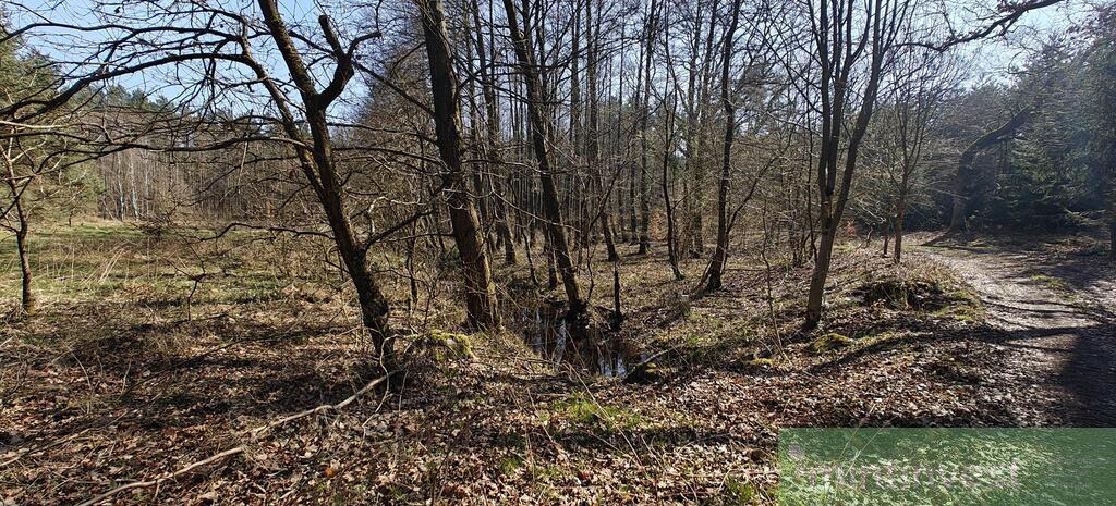 Działka z warunkami zabudowy (24)