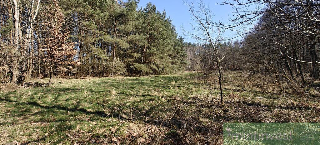 Działka z warunkami zabudowy (25)