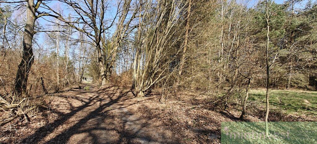 Działka z warunkami zabudowy (26)