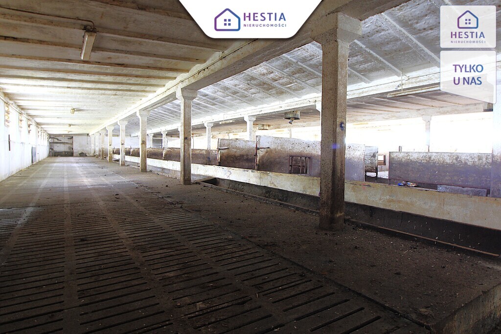 Na sprzedaż: Nieruchomość gruntowa zabudowana (6)