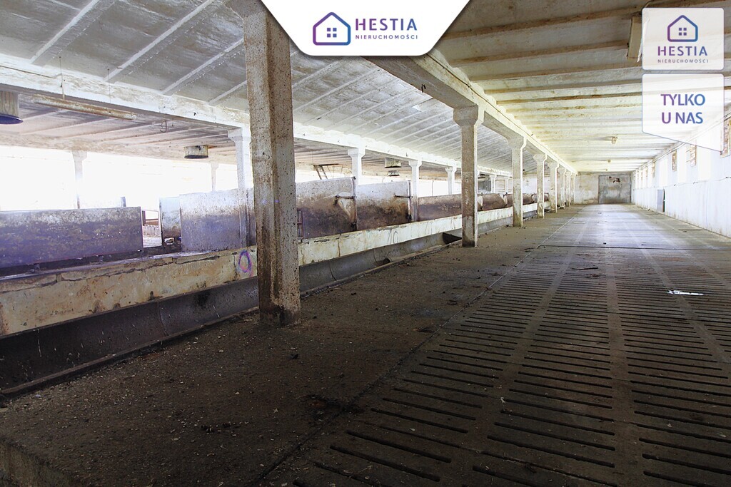 Na sprzedaż: Nieruchomość gruntowa zabudowana (7)