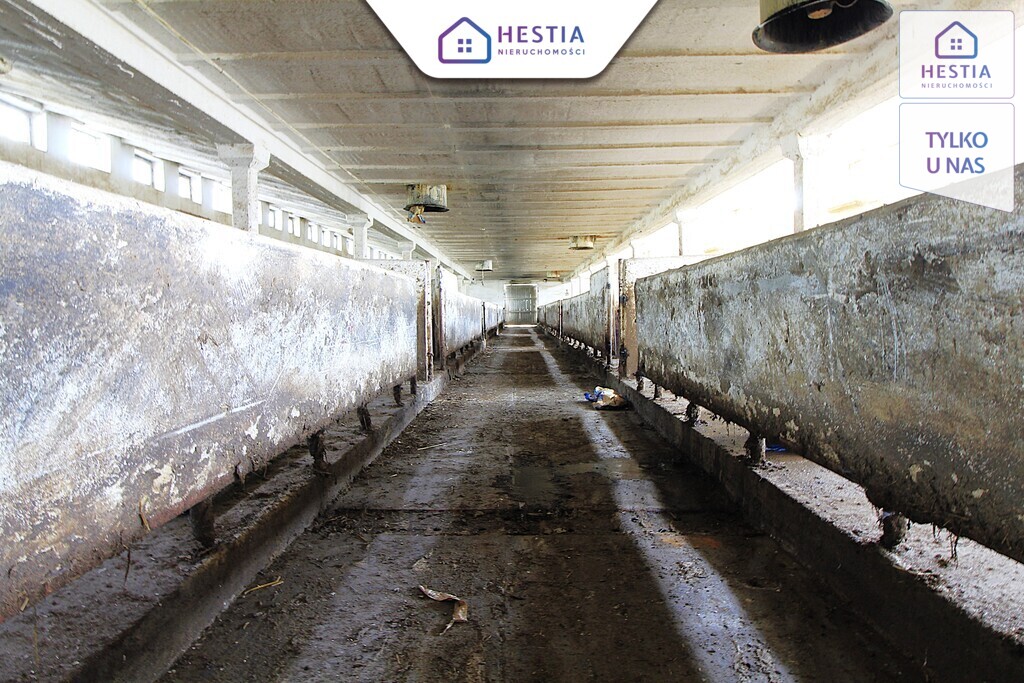 Na sprzedaż: Nieruchomość gruntowa zabudowana (8)