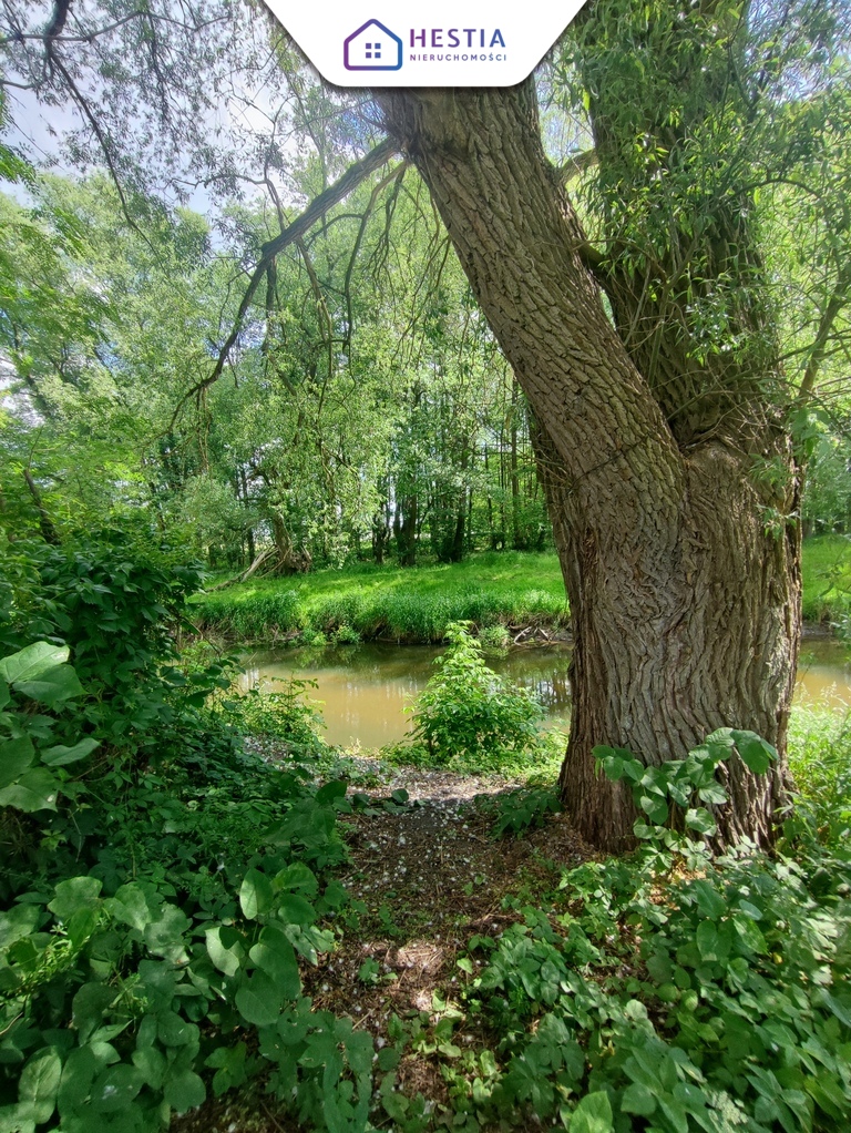 Działki z zejściem do rzeki (6)