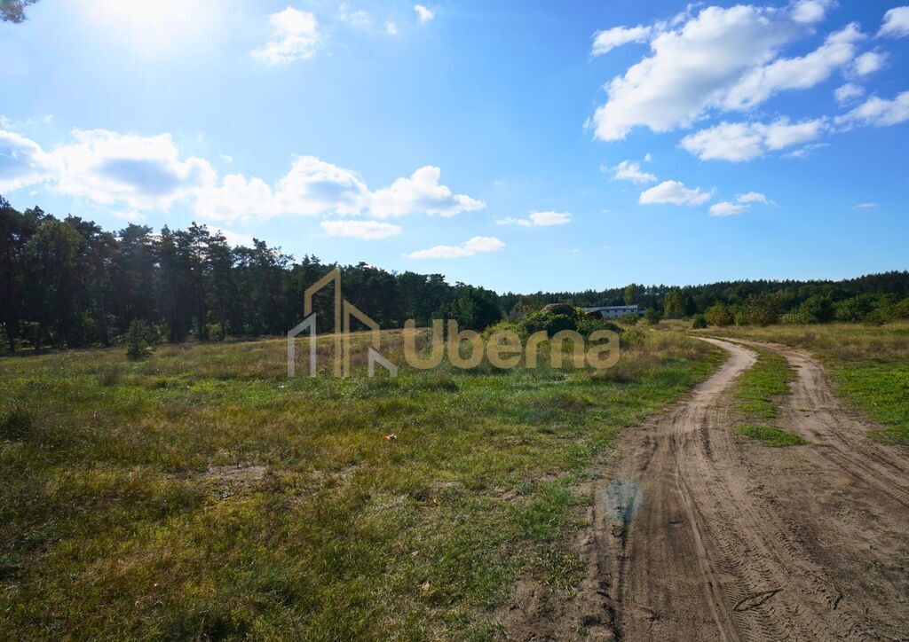 Działka przeznaczona  pod produkcję, magazyny (10)