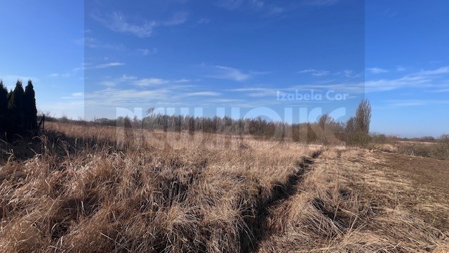 Działka z WZ Mierzyn- do negocjacji! (4)