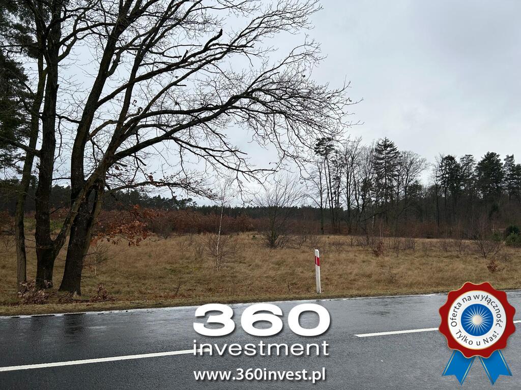 Brzózki działka z WZ - 2 domy (2)