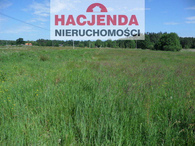 Rolna, 5,000 m2, Police  (3)