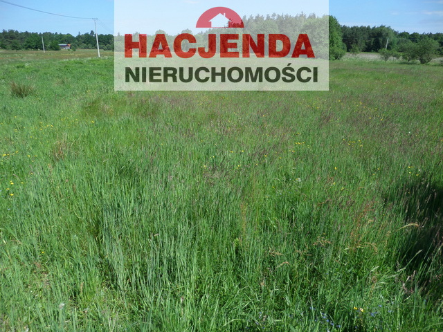 Rolna, 5,000 m2, Police  (4)