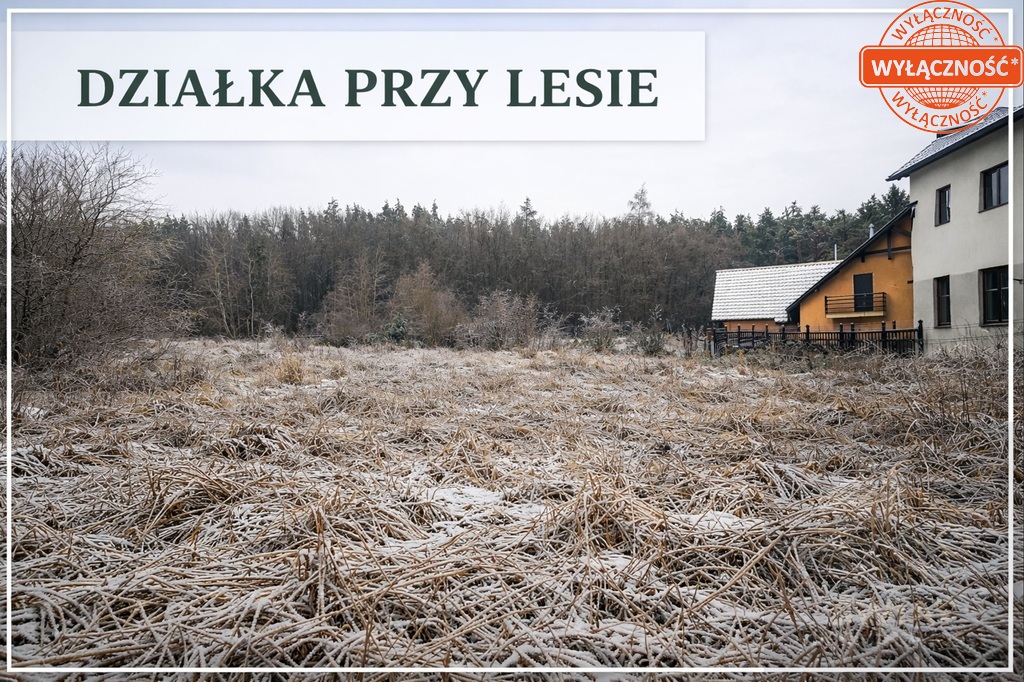 Na sprzedaż działka przy lesie (2)