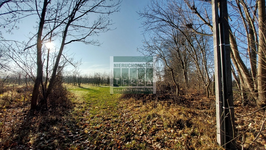 Działka budowlana Krosno Odrzańskie (2)