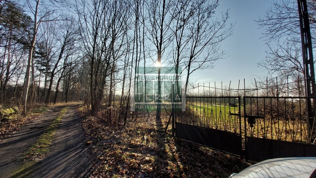 Działka budowlana Krosno Odrzańskie (3)
