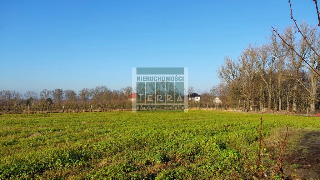 Działka budowlana Krosno Odrzańskie (6)