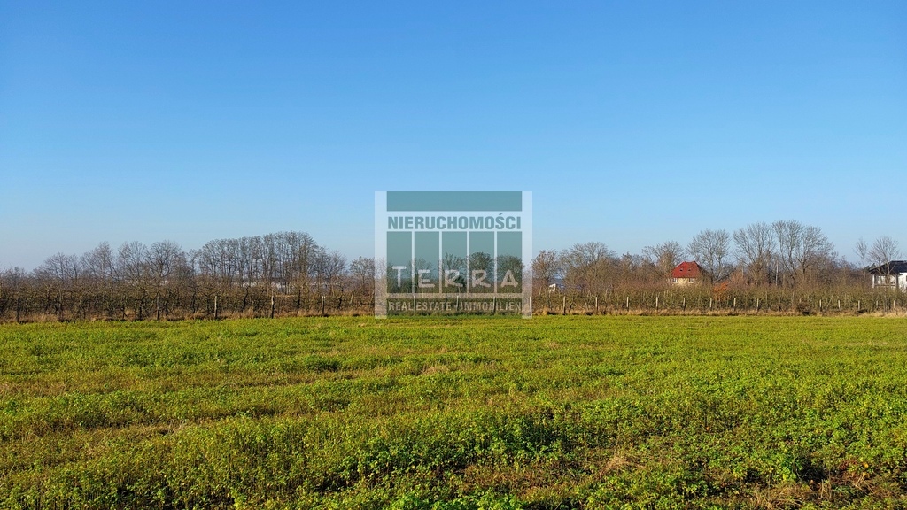 Działka budowlana Krosno Odrzańskie (7)