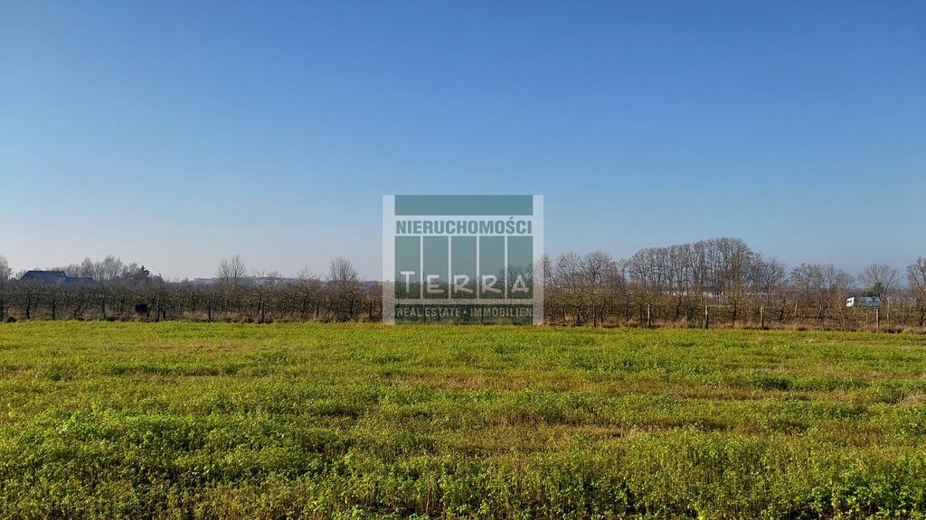 Działka budowlana Krosno Odrzańskie (8)