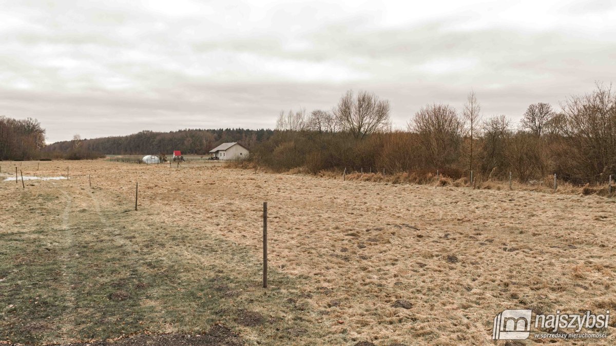 Maszewo-Dąbrowica - działka 930m2 z warunkami zab. (2)