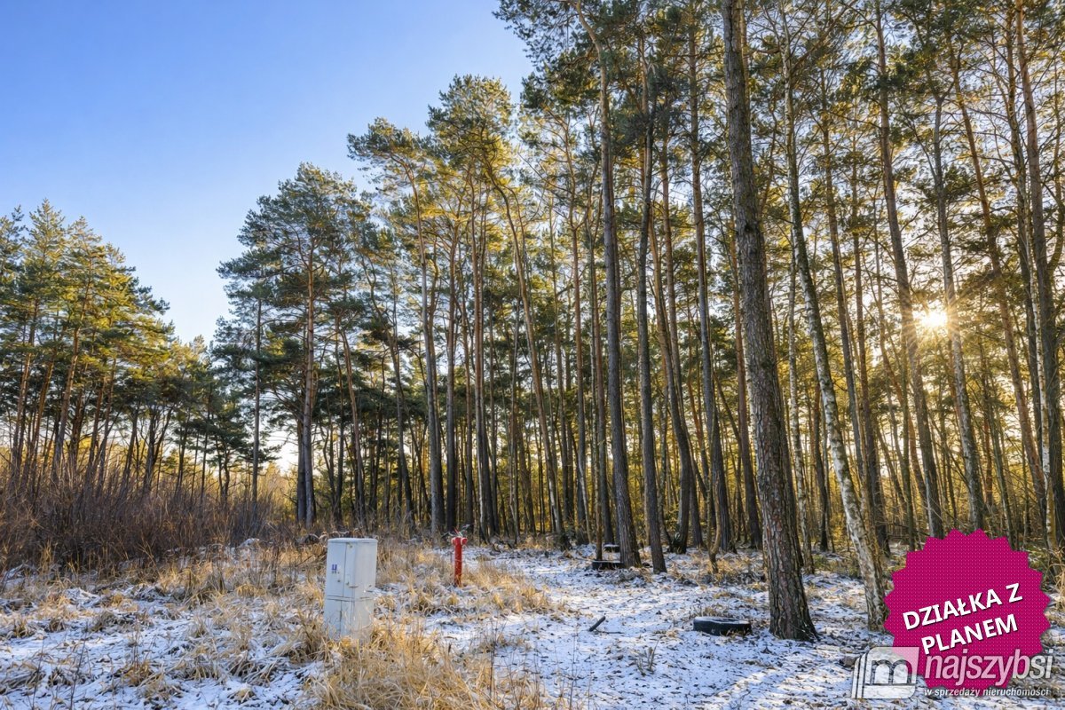 Dziwnów- wyjątkowa działka  w  sercu natury (1)