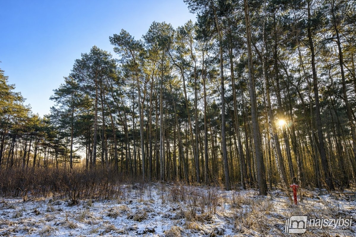 Dziwnów- wyjątkowa działka  w  sercu natury (2)