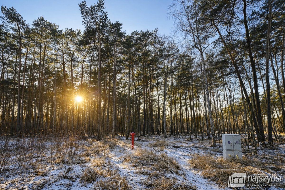 Dziwnów- wyjątkowa działka  w  sercu natury (3)