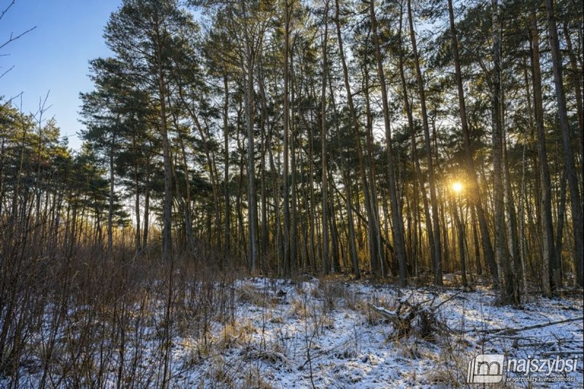 Dziwnów- wyjątkowa działka  w  sercu natury (4)