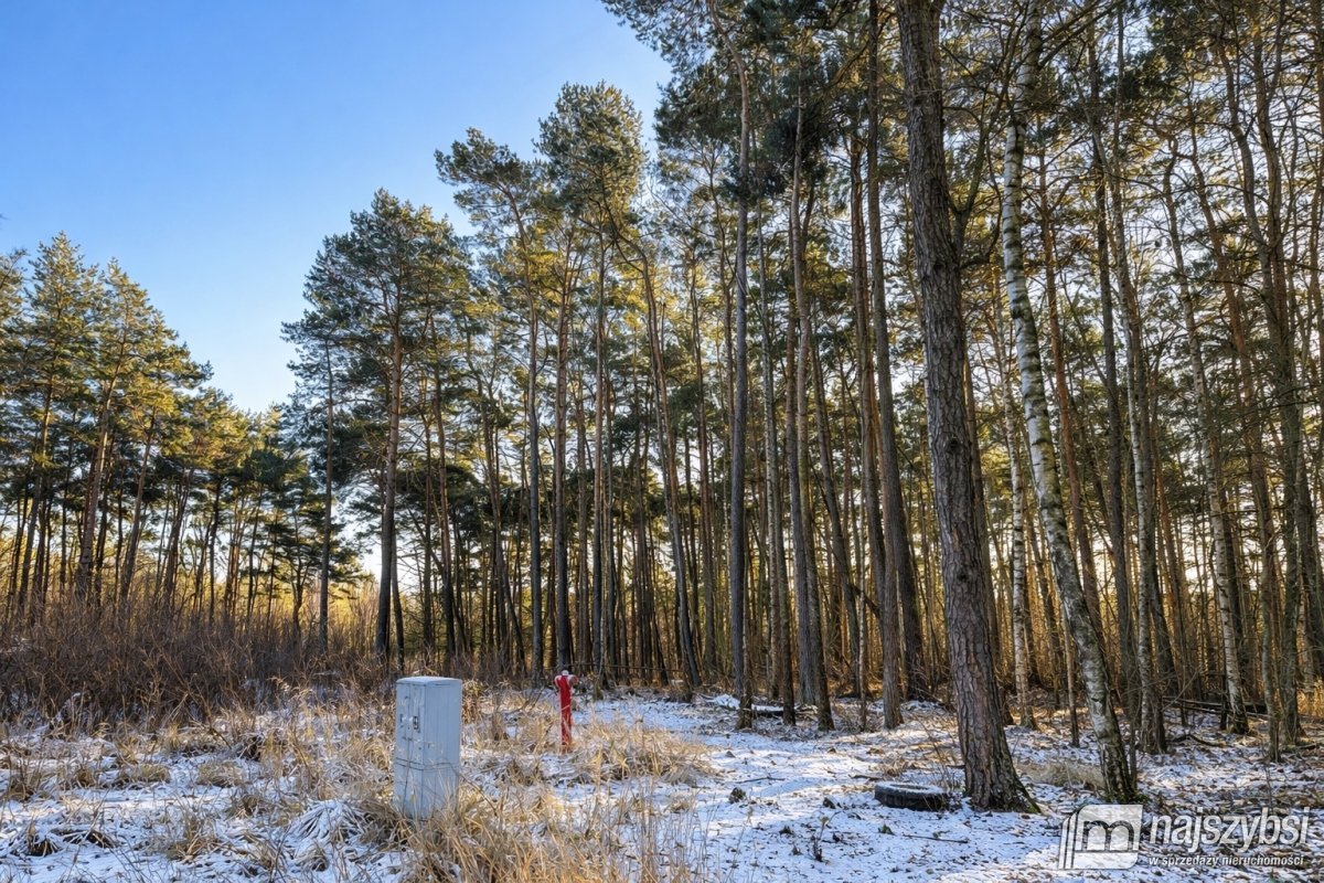 Dziwnów- wyjątkowa działka  w  sercu natury (6)