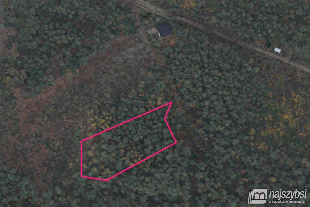 Dziwnów- wyjątkowa działka  w  sercu natury (7)