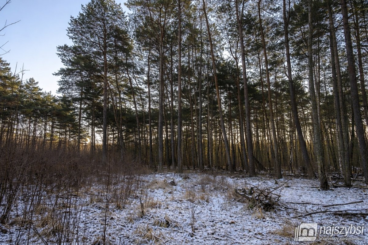 Dziwnów- wyjątkowa działka  w  sercu natury (9)