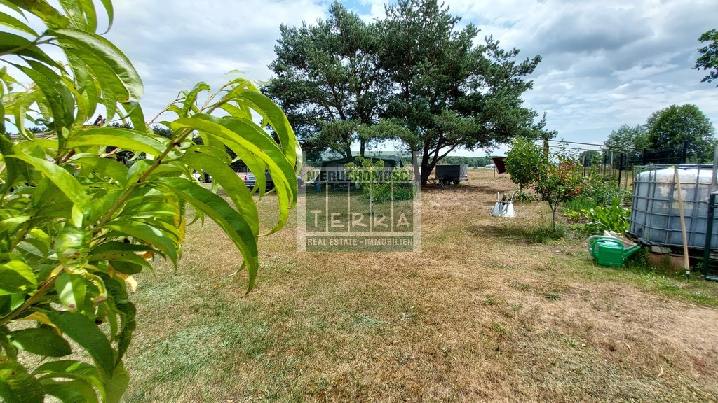 Działka ze STAWEM ! (8)