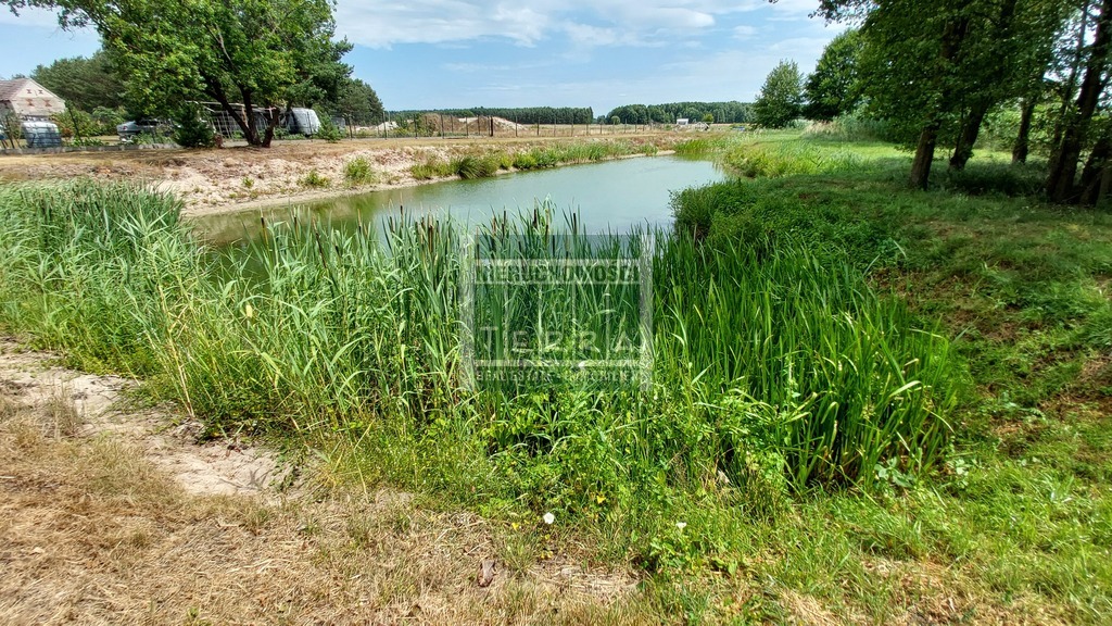 Działka ze STAWEM ! (11)