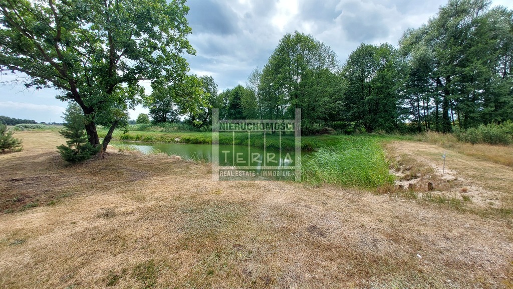 Działka ze STAWEM ! (12)