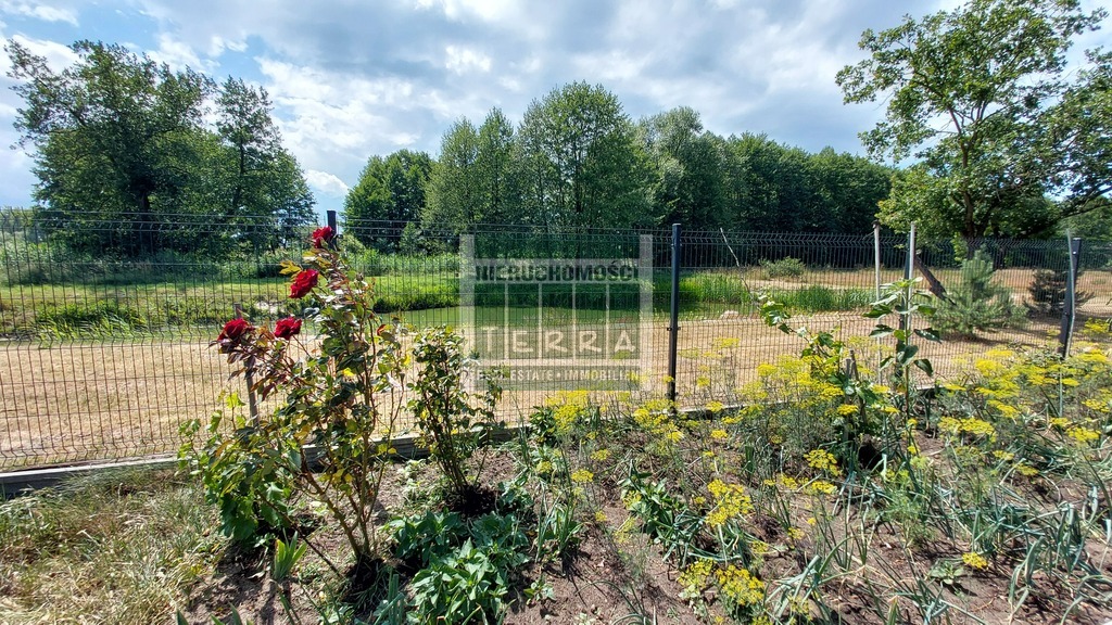 Działka ze STAWEM ! (14)