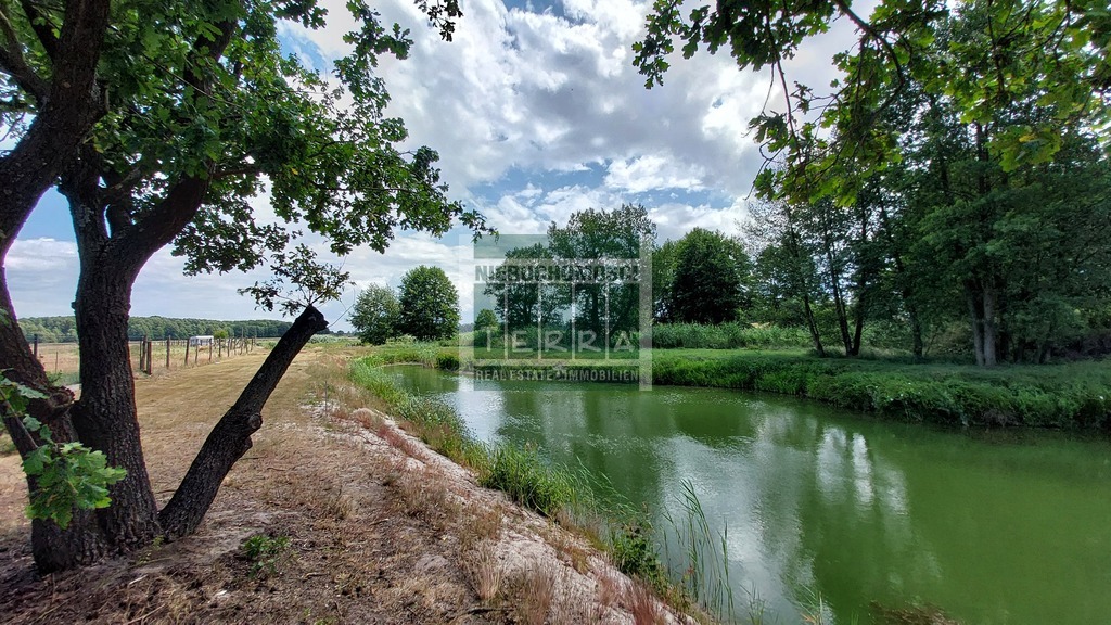 Działka ze STAWEM ! (15)