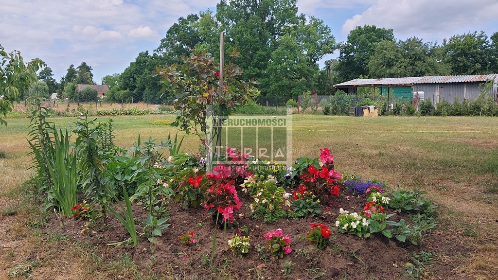 Działka ze STAWEM ! (18)