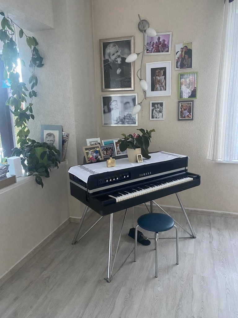 Wolno stojący, 460 m2, Szczecin Dąbie (7)