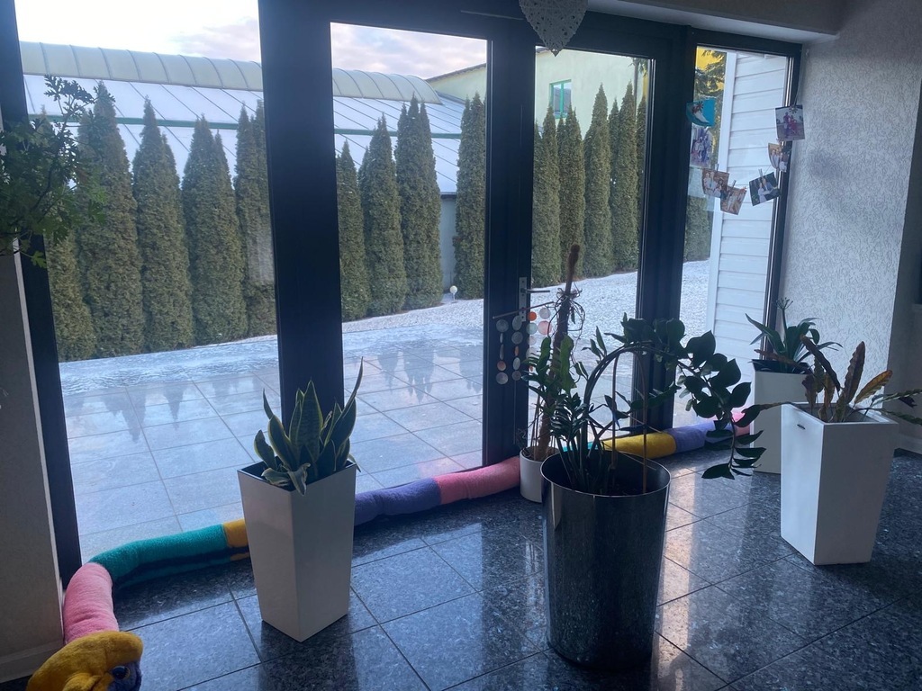 Wolno stojący, 460 m2, Szczecin Dąbie (4)