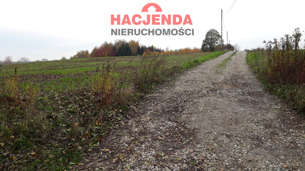 Rolna, 14,678 m2, Danowo  (2)