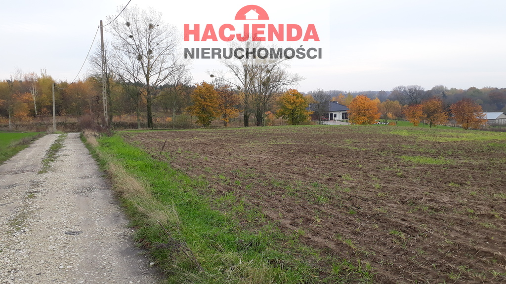 Rolna, 14,678 m2, Danowo  (3)