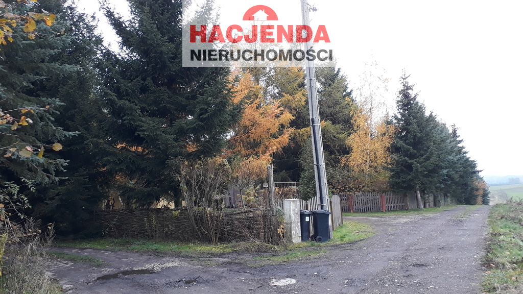 Rolna, 14,678 m2, Danowo  (4)