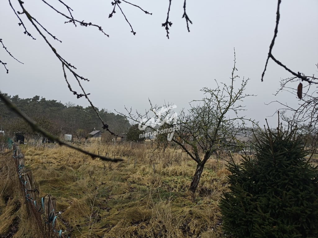 Mieszkanie 3 Pokojowe z garażem i piwnicą (9)