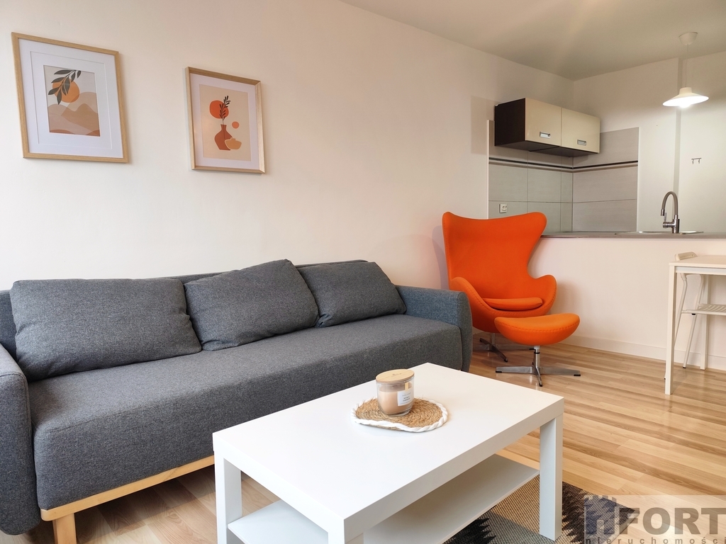 Do wynajmu przestronna kawalerka . (3)