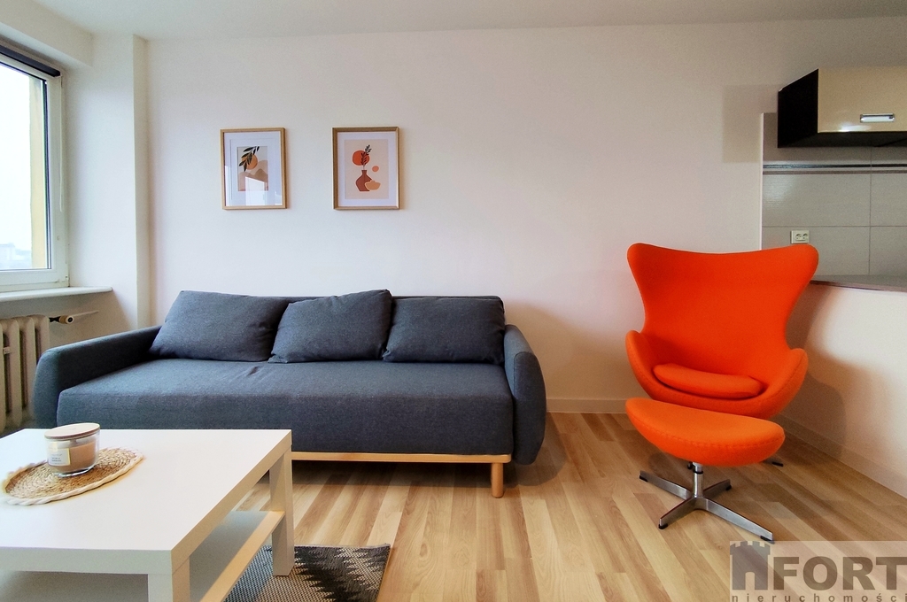 Do wynajmu przestronna kawalerka . (2)