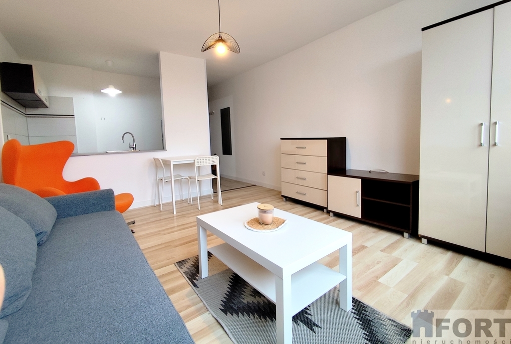 Do wynajmu przestronna kawalerka . (4)