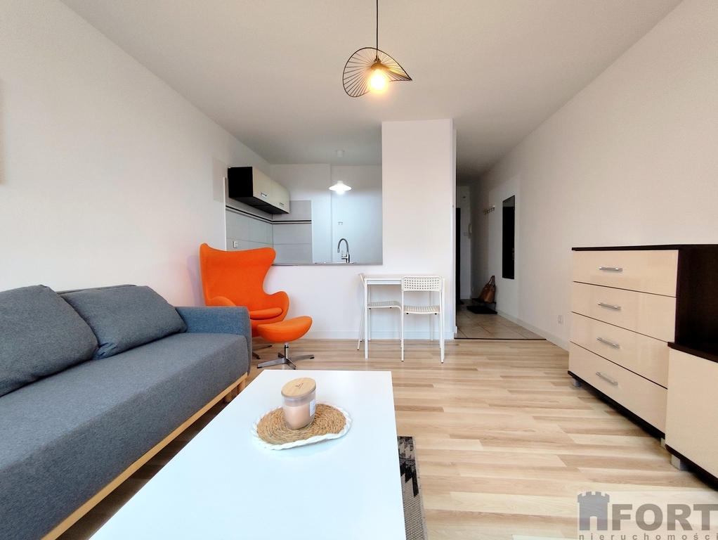 Do wynajmu przestronna kawalerka . (8)