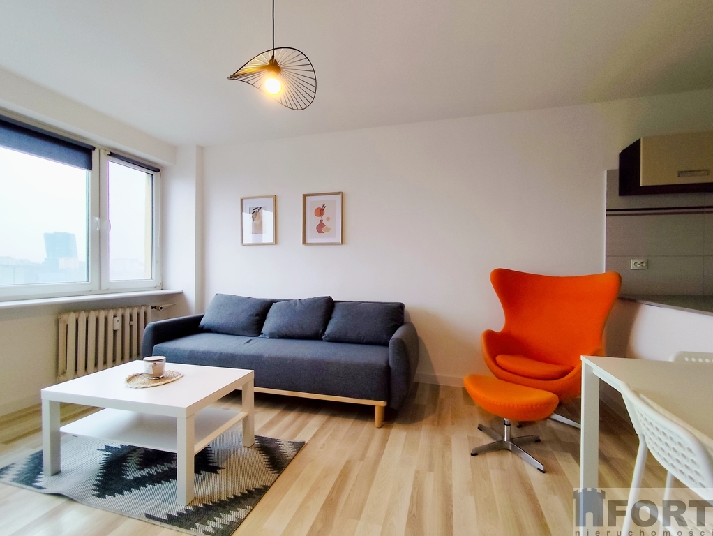 Do wynajmu przestronna kawalerka . (1)