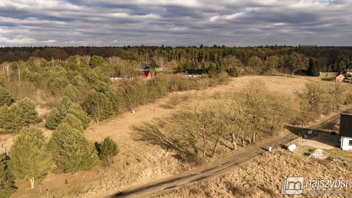 Krępsko - działka 3000 m2 otoczona naturą (11)