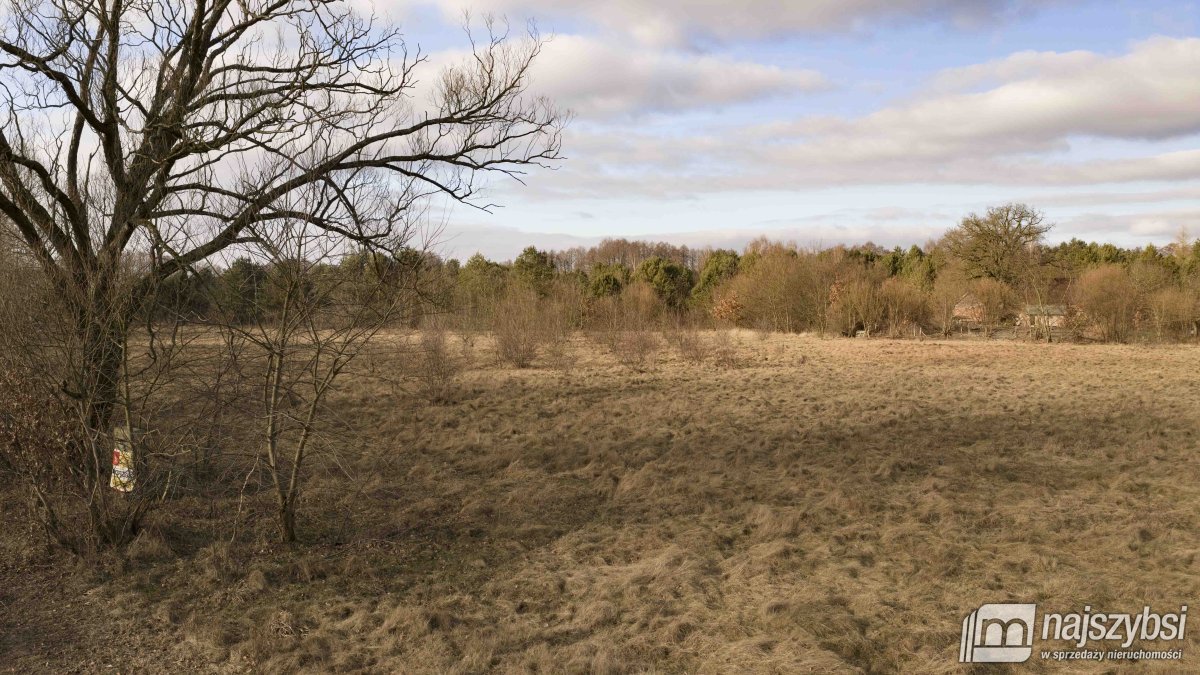 Krępsko - działka 3000 m2 otoczona naturą (2)