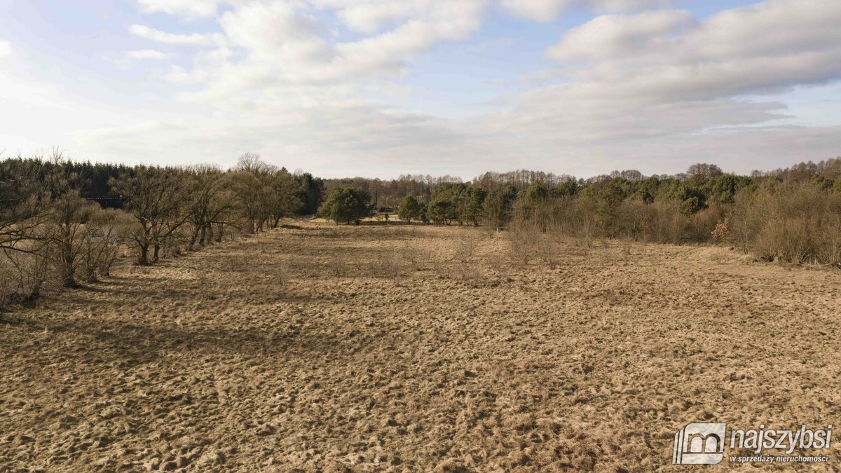 Krępsko - działka 3000 m2 otoczona naturą (3)